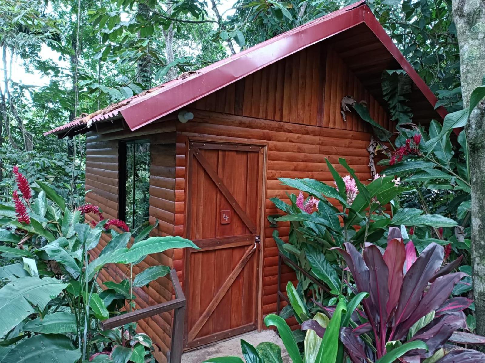 Arenal Rustic Lodge La Fortuna المظهر الخارجي الصورة