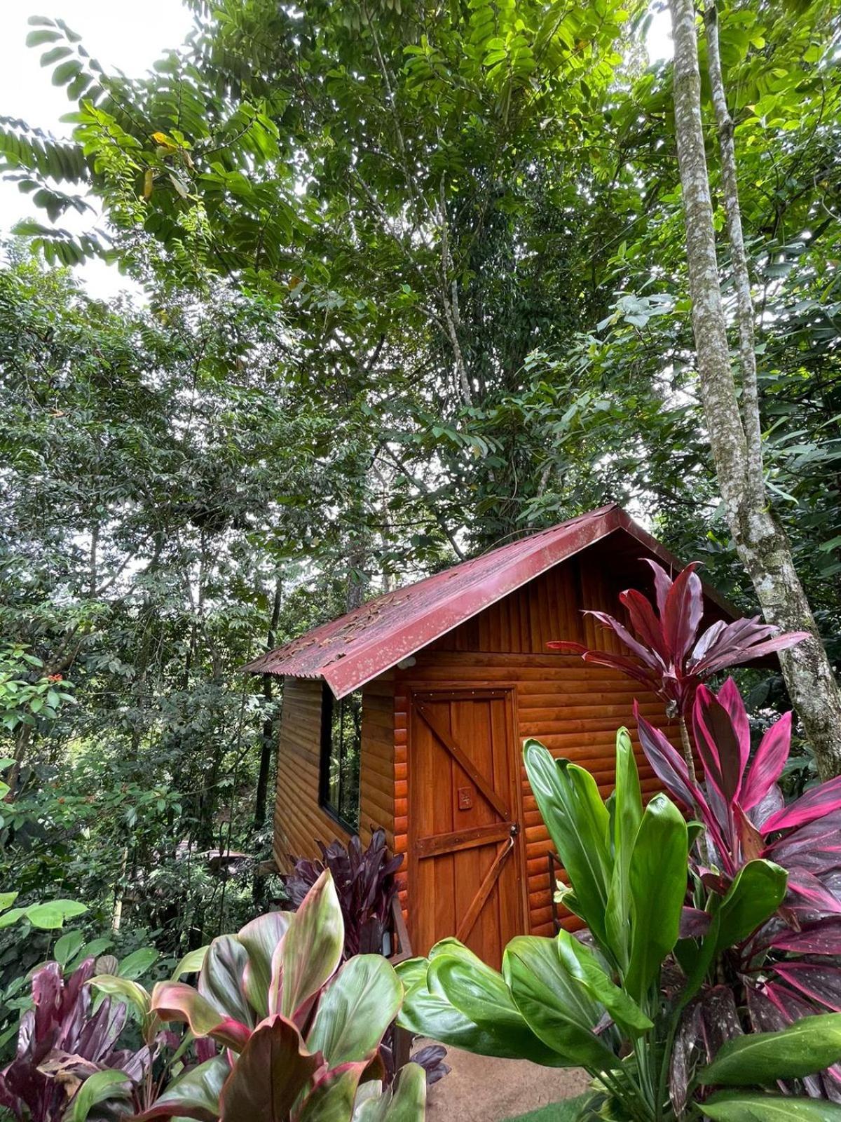 Arenal Rustic Lodge La Fortuna المظهر الخارجي الصورة