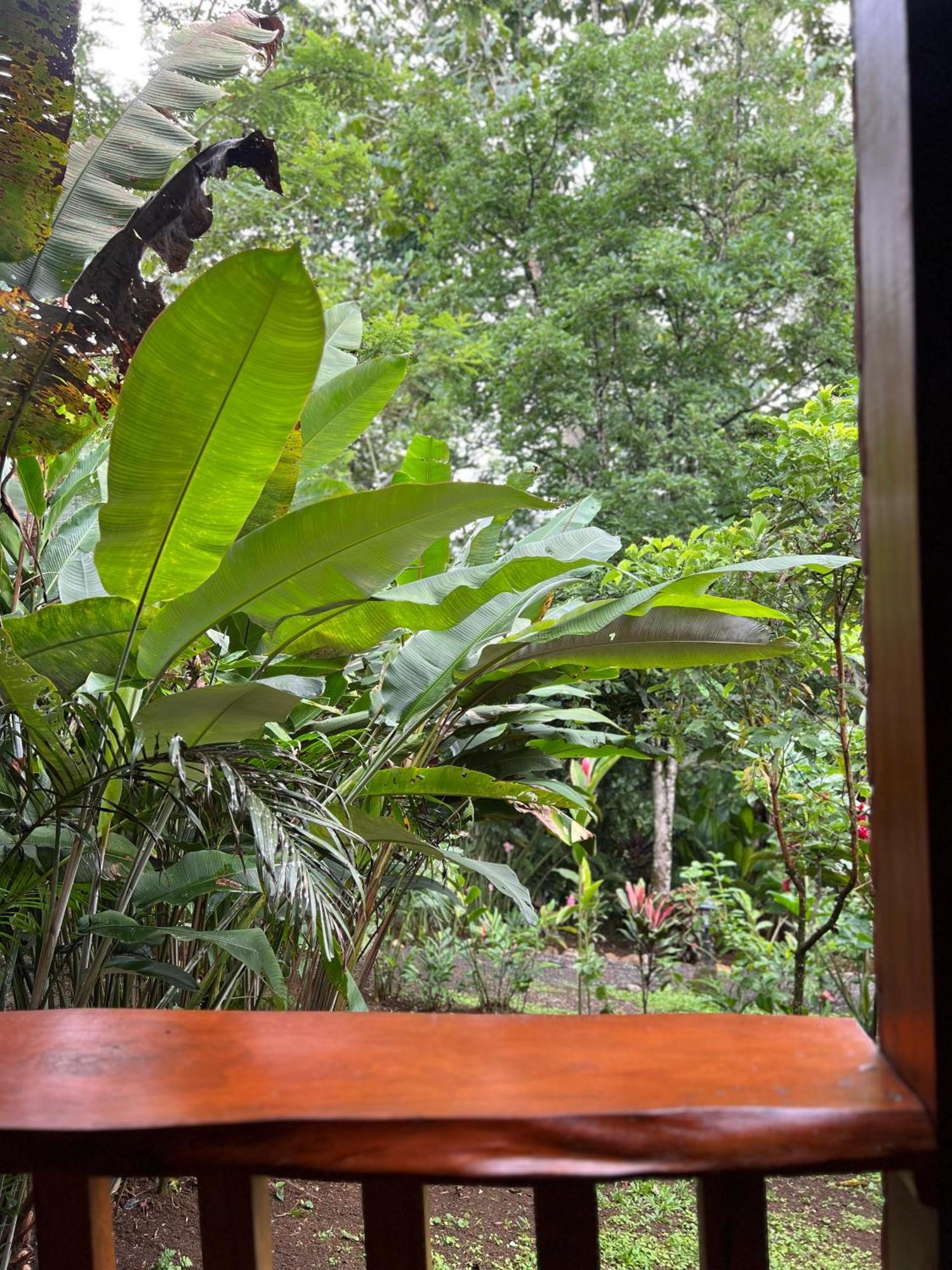 Arenal Rustic Lodge La Fortuna المظهر الخارجي الصورة