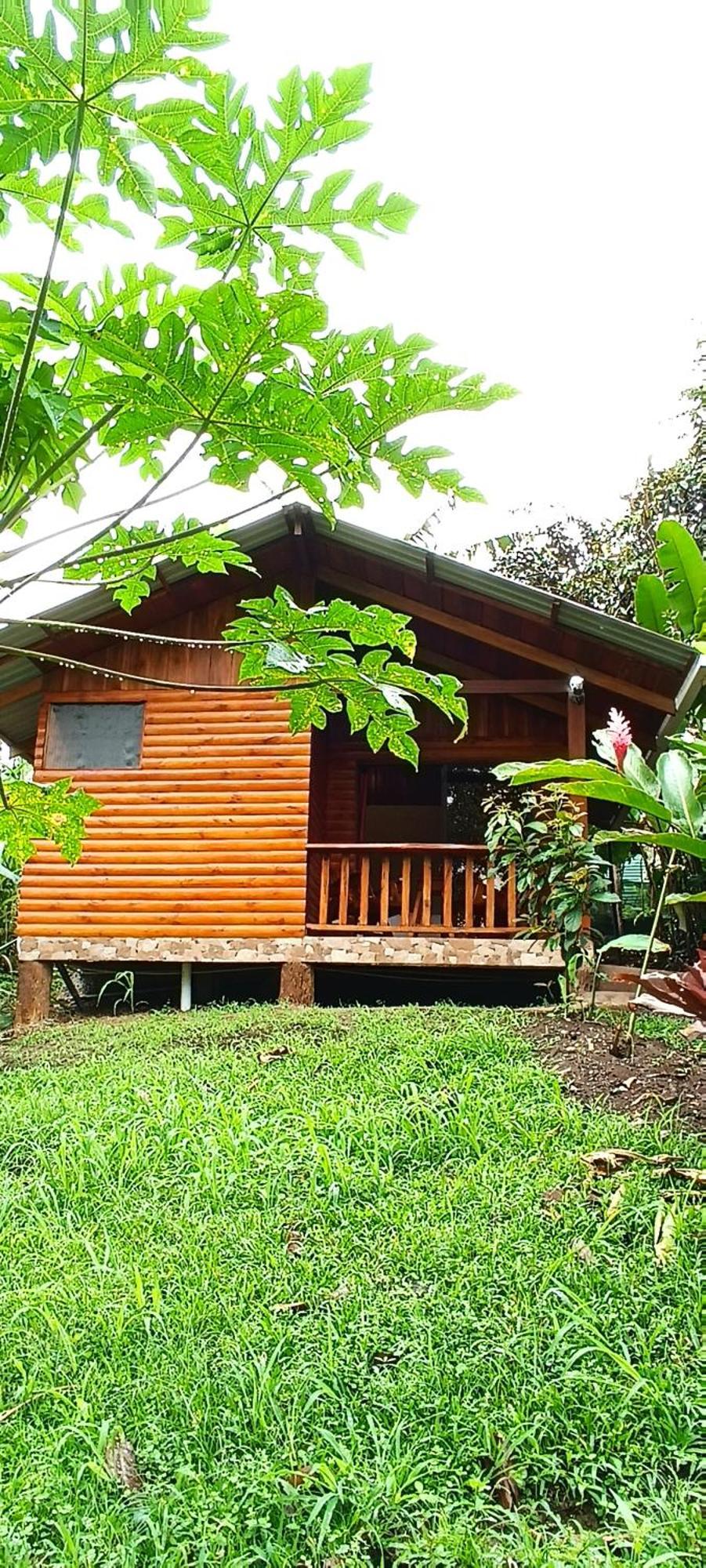 Arenal Rustic Lodge La Fortuna المظهر الخارجي الصورة