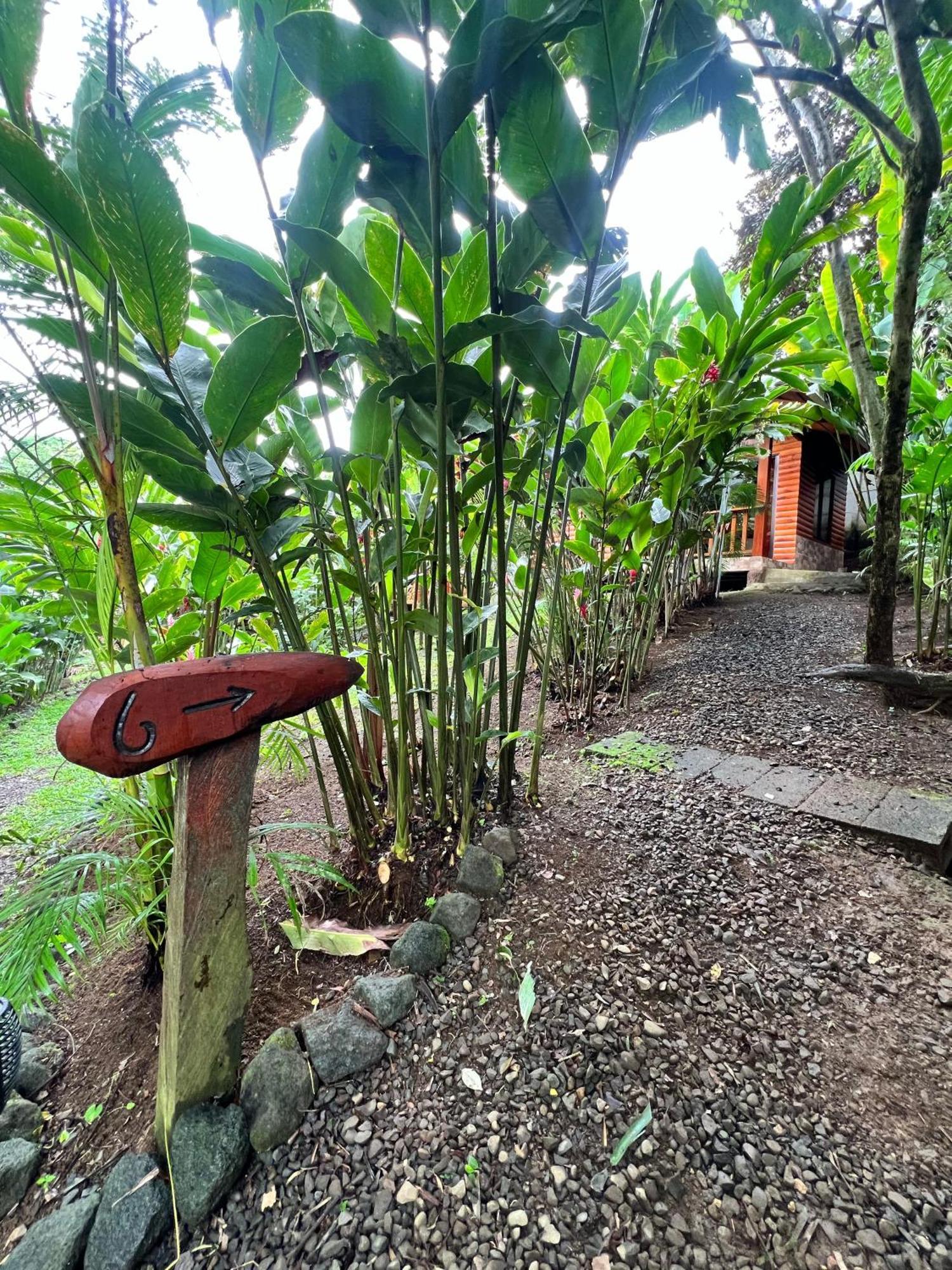 Arenal Rustic Lodge La Fortuna المظهر الخارجي الصورة