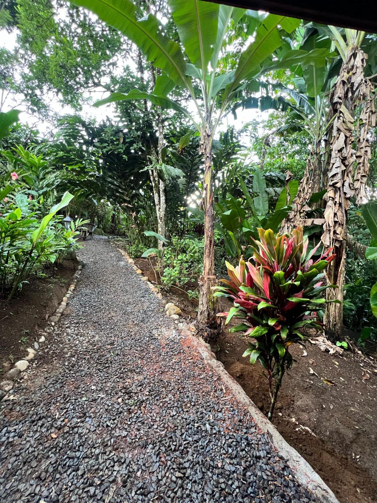 Arenal Rustic Lodge La Fortuna المظهر الخارجي الصورة